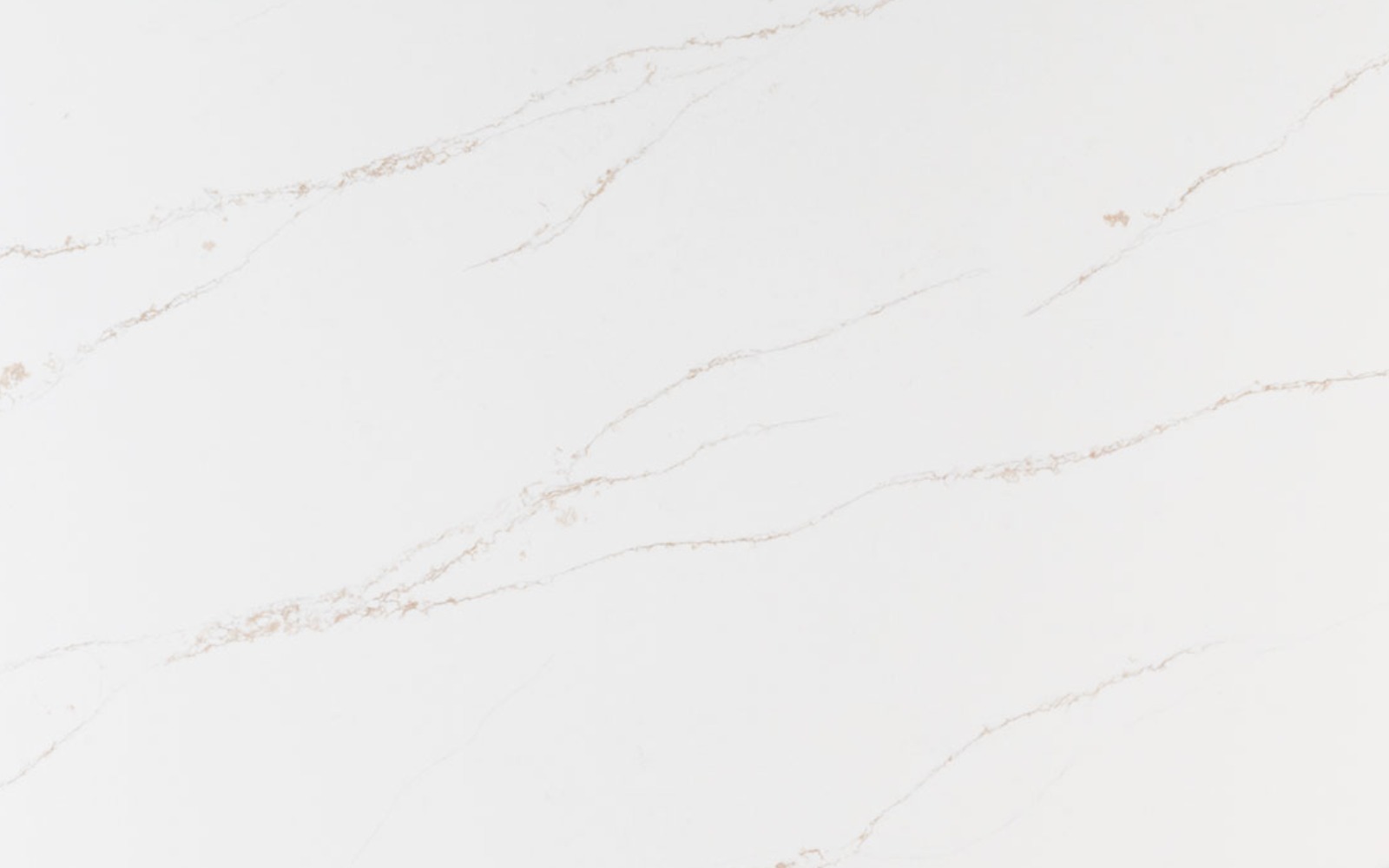 calacatta arno quartz sample