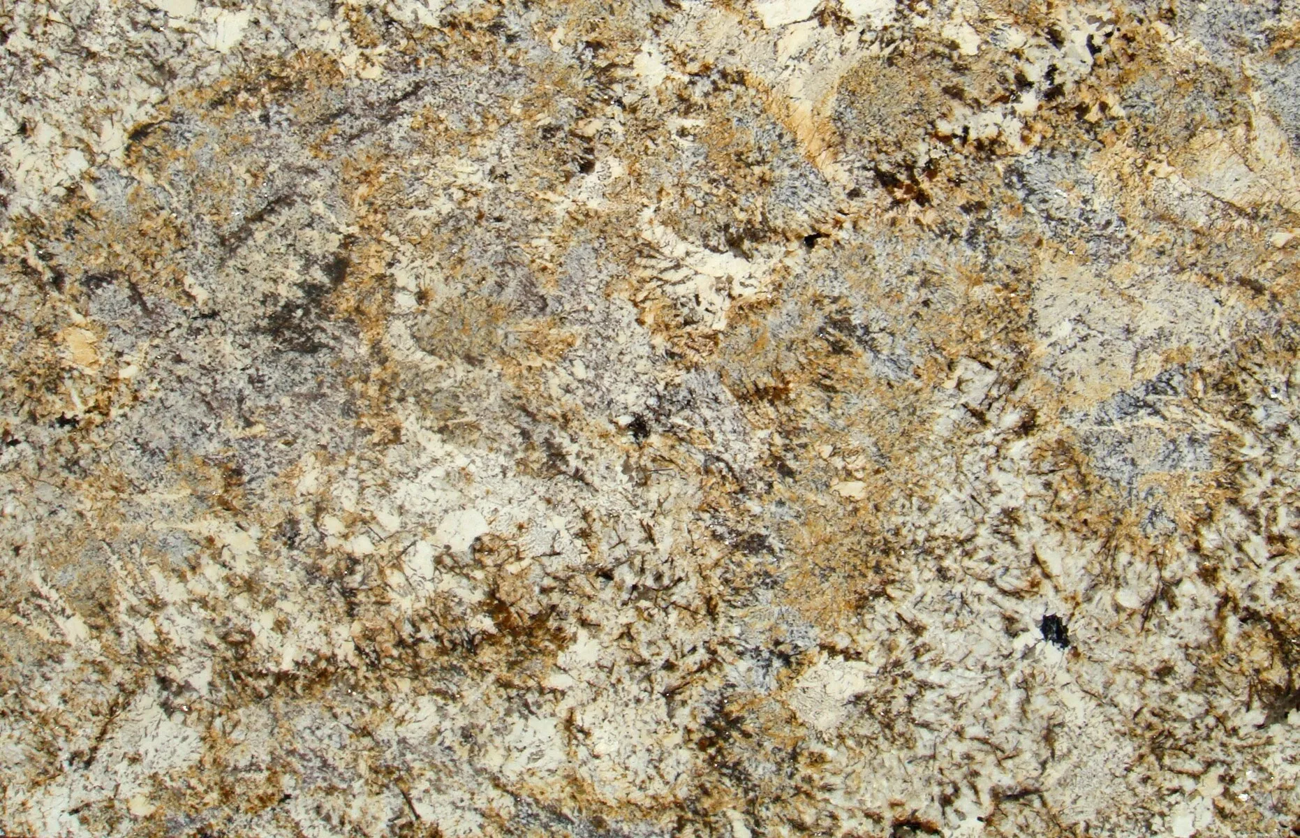 Caravelas Gold Granite Countertops - Austin, TX